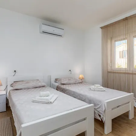 Pet Friendly In Sikici